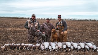 We Landed 400 MALLARDS In the Decoys Tornado [upl. by Ramraj419]