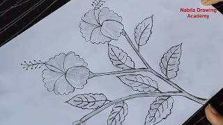 How to draw a Hibiscus Flower step by step for beginners  Art video [upl. by Adamik152]