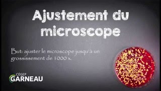 Ajustement du microscope jusquà 1000X [upl. by Anneirb370]