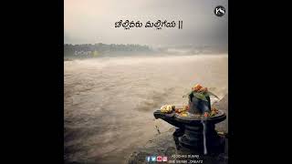 🎶Chellidaru Malligeya Song🎶 MM Hills❤️ Male Mahadeshwara WhatsApp Status🙏 [upl. by Aiclid]