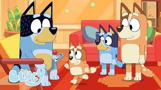 Rushing Around with the Heelers 💨 😮  Exciting Games with Bluey  Bluey [upl. by Sneve]