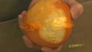 How to Zest Citrus Fruit For Dummies [upl. by Aninahs836]