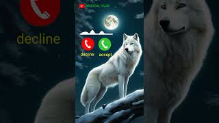 New call ringtone 2024  hindi ringtone 2024 trending Ringtone love ringtone song mobile ringtone [upl. by Enilra]