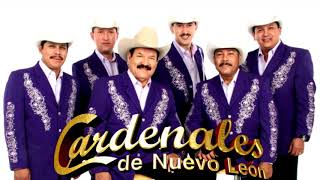 LOS CARDENALES DE NUEVO LEON MIX LAS MAS DOLIDAS [upl. by Tonjes]