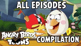 Angry Birds Toons Compilation  Season 2 All Episodes Compilation  Special Mashup [upl. by Binky]