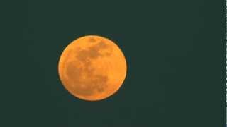 quotSuper Moonquot with Panasonic AGAF100 and Nikon 80400mm lens [upl. by Rese]