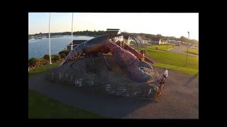 Shediac Lobster [upl. by Heady]