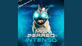 Mix Perreo Intenso [upl. by Davie]