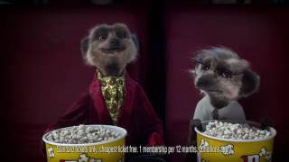 Compare the Meerkat  Advert 71 [upl. by Nedap]