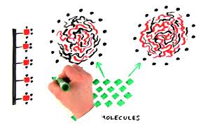 Introduction to Hydrophobic Interaction Chromatography [upl. by Kester]