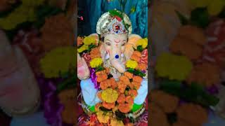 आपल्या गणपती बाप्पाची आरती 🌸 घाली लोटांगण  Shendur Lal Chadhayo  Vastav Song ganapati [upl. by Nagrom]