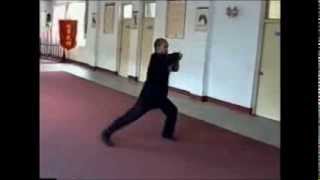 Master Yu Tian Lu  Cha Chui 插捶 Qi Xing Tang Lang Quan [upl. by Canning]