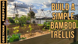 How To Build A Simple Bamboo Trellis [upl. by Paulsen]