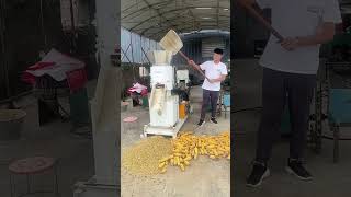 Cattle Feed Automatic Pellet Making Machine [upl. by Salena772]