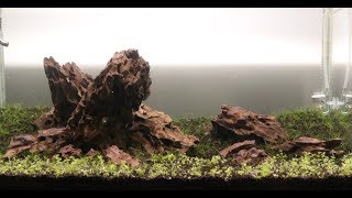 Iwagumi Aquascaping  Day 1 [upl. by Montford]