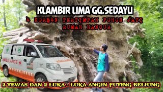 KORB4N TEW4S DI KLAMBIR 5 ggsedayu TERTIMPA POHON JATI TUMBANG RUMAH HANCUR 4 ORANG KORB4N2 TEW4S [upl. by Xenos]