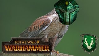 Total War Warhammer Live BattleCast 102 Wood Elves vs Empire  HAWKISH BUSINESS [upl. by Hortense]