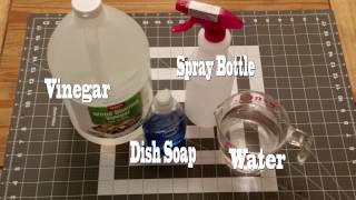 Make your own Window Cleaner with Vinegar and Dish Soap [upl. by Hole]