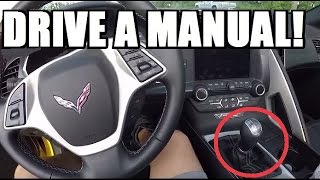 HOW TO DRIVE A STICK SHIFT EASY Step by Step Tutorial [upl. by Noved]