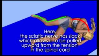 sciatic nerve flossing from Active Spine and Sport [upl. by Asina]