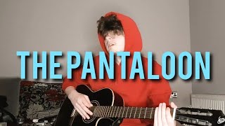 The Pantaloon  Twenty One Pilots Acoustic Cover [upl. by Prosperus]