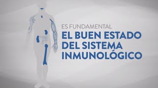 ¿Qué es el sistema inmunológico y cómo fortalecerlo [upl. by Nitsyrk]