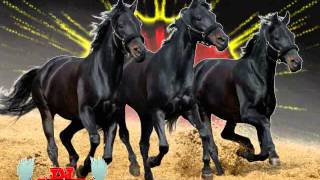 CORRIDOS DE CABALLOS GRUPO LABERINTO MIX BY DJ MEJIA [upl. by Ehtylb]