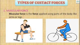 ForcePart 2  Contact force  Muscular force  Frictional force  Tension force [upl. by Bevon]