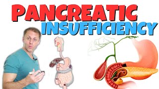 Pancreatic Insufficiency [upl. by Assirroc419]