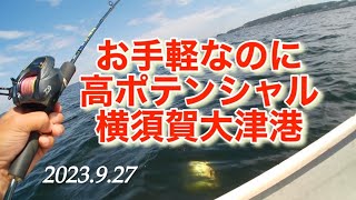 神奈川県横須賀市 大津港石田丸さんより手漕ぎボートで大鯵狙い😁2023年9月27日 [upl. by Ahsinahs]