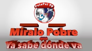 PELUQUERÍA CANINA POBRE QUE YA SABE DÓNDE VA EN LA JUNGLA DE PELOS CON LUIS GUERRERO [upl. by Dulce]