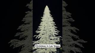 What is Christmas like in Las Vegas shorts shortvideo short [upl. by Sorac]