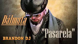 100  PASARELA DALMATA ¡ PERSONAL  BRANDON DJ [upl. by Arnst]