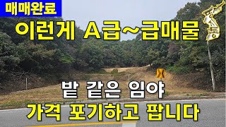 매매완료이런게 A급 급매물밭 같은 임야 8490평 가격 포기하고 경매보다 싸게 팝니다땅지통 [upl. by Hubing]