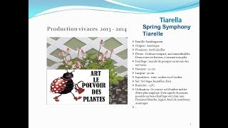 JardinageTiarella Spring symphony tiarelle plante vivace [upl. by Clough985]