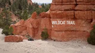 Arctic Cat 2017 Wildcat Sport and Trail SXS Experience [upl. by Annuahs]