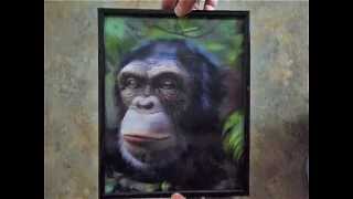 lenticular 3d  chimp image [upl. by Anovad192]