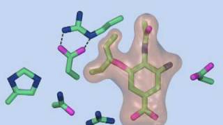 Mechanism of Resistance to Oseltamivir [upl. by Sandye115]