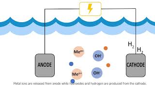 Electrocoagulation for Seawater Desalination Pretreatment [upl. by Nwahser]