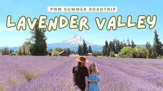 PNW SUMMER ROADTRIP 24 Hours Exploring Lavender Valley amp Portland [upl. by Wylie238]