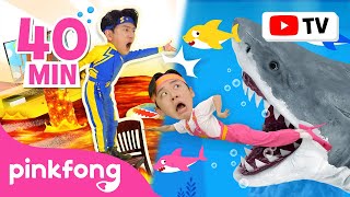 Run Away with Hoi and Sammy  Escape from the Sharks  More  Animal Songs  Official Pinkfong [upl. by Ainala]