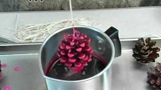 How to Pine Cone Fire Starters [upl. by Owades]