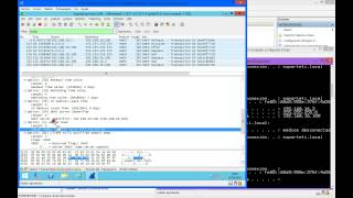 WireShark  Capturando y analizando el tráfico DHCP [upl. by Esyak]