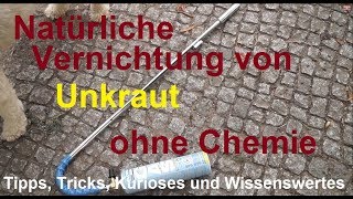 Unkraut erfolgreich entfernen mit Gloria Thermoflamm  Natürliche Unkrautbeseitigung ohne Chemie [upl. by Aynav]