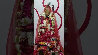 Kali Mai Kali Mai song kalipuja काली मां पूजा 🙏shorts ytviral kalimaakalimatamahakali love [upl. by Hoffert495]