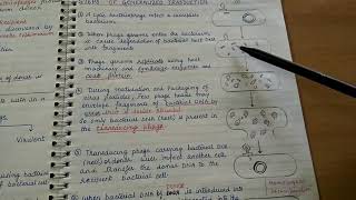 Transduction Genetic recombination in bacteria [upl. by Debbi]