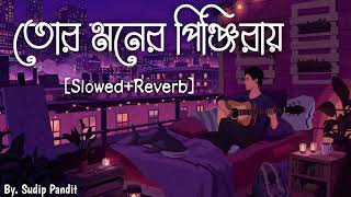 Tor Moner Pinjiray তোর মনের পিন্জিরায় Slowed Reverb [upl. by Lucila]