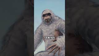 ¿Existe el Yeti Leyenda Viviente de las Montañas curiosidades animales datoscuriosos sabiasque [upl. by Nlyak]