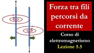 Forza tra due fili percorsi da corrente [upl. by Hendon450]