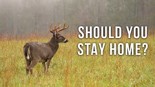 Should You Be Deer Hunting In The Rain [upl. by Lat]